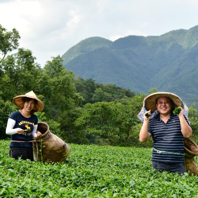 東成茶葉