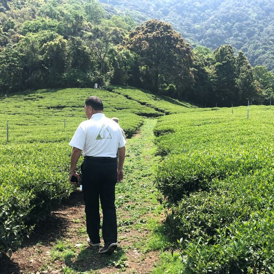 茶半解農場