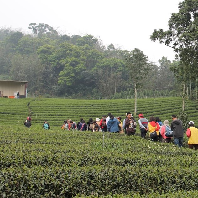 歡喜地生態有機茶園