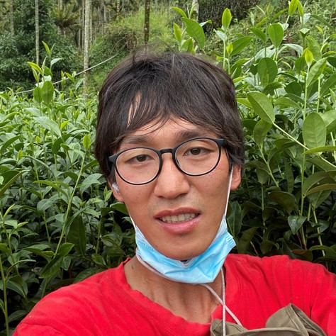 一品茶葉