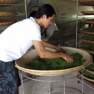 生生茶業有限公司