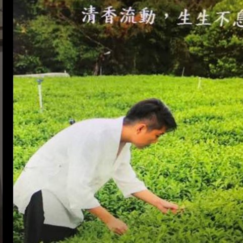 生生茶業有限公司