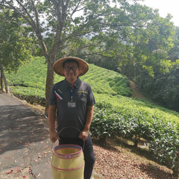 湧香製茶X鐵塔有機