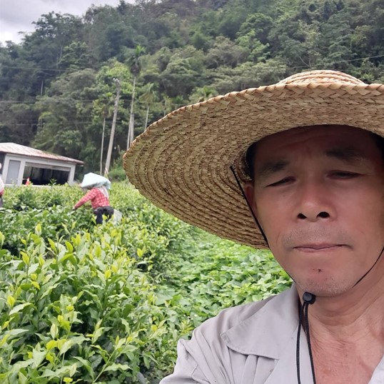 仁源茶園