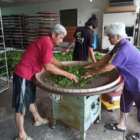 松順利有機茶廠