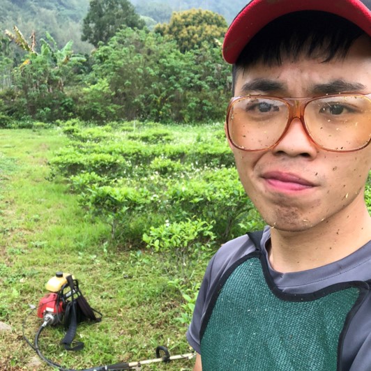 武當生態茶園