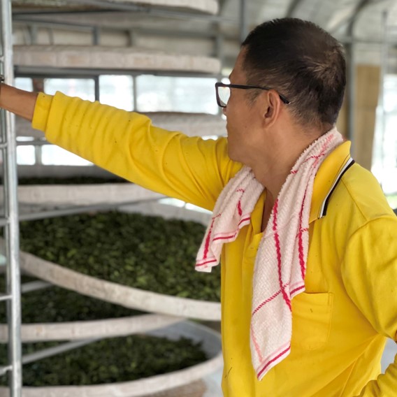 幸福林有機茶園