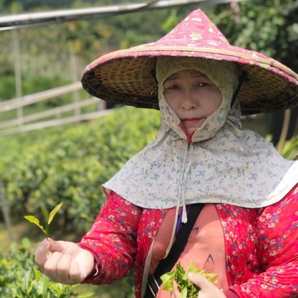 馨午茗茶