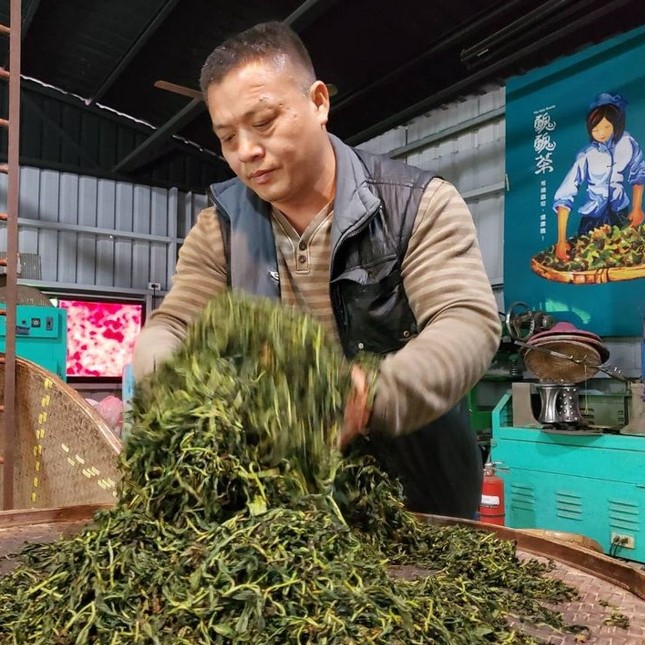 世芳有機茗茶園