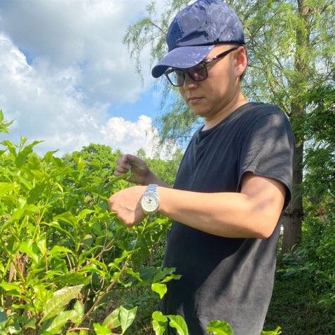 亨霖茶園