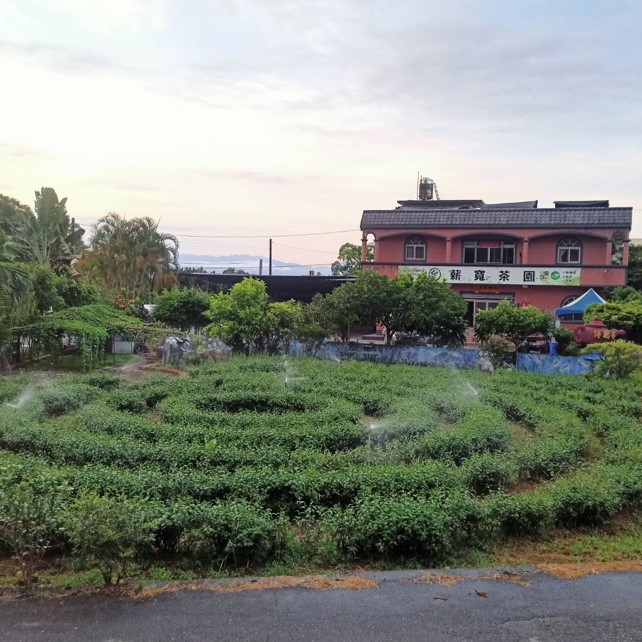 薪寬茶園