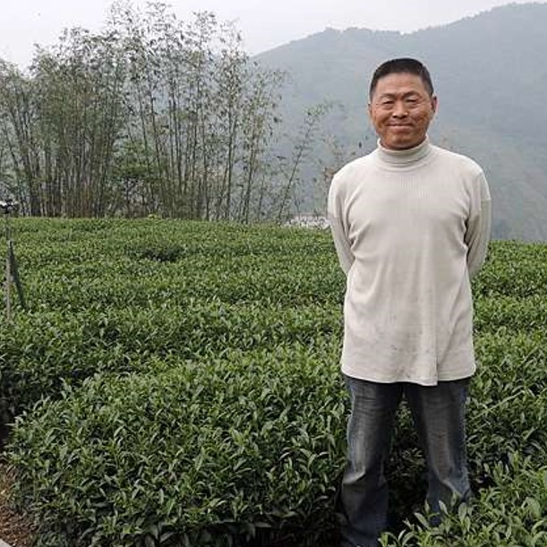 原鄉自然復育茶園