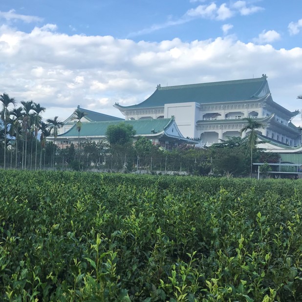 水葉農場