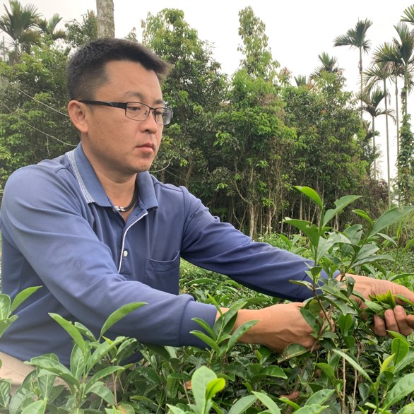 茶供足有機農園