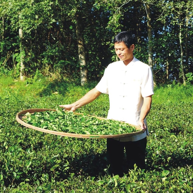 松輝有機茶園