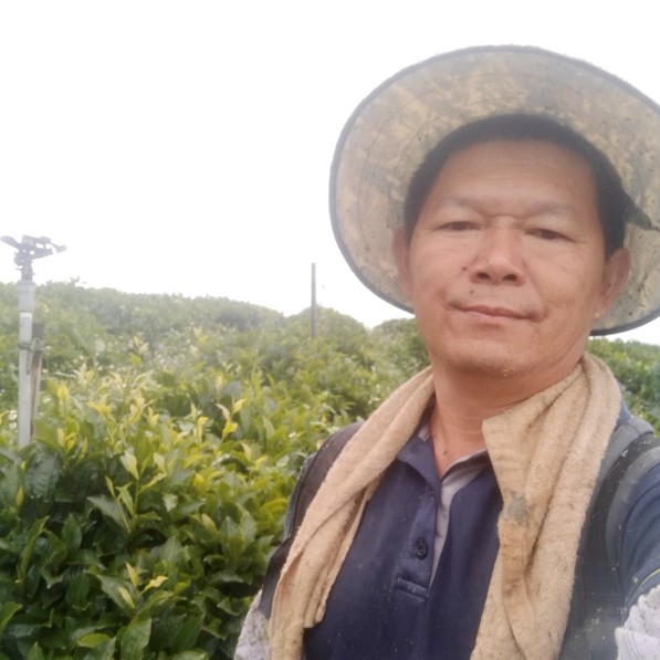 昱香園有機茶園